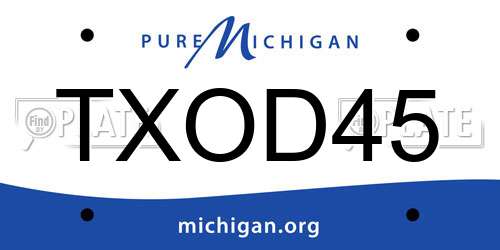 TXOD45 Michigan License Plate