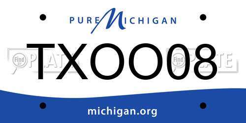 TXOO08 Michigan License Plate