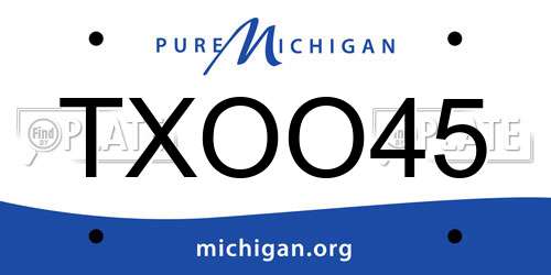 TXOO45 Michigan License Plate