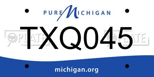 TXQ045 Michigan License Plate