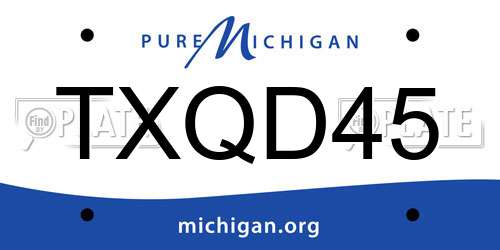 TXQD45 Michigan License Plate