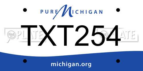 TXT254 Michigan License Plate