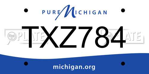 TXZ784 Michigan License Plate