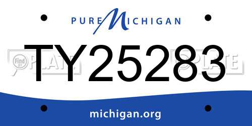 TY25283 Michigan License Plate