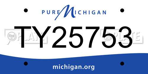 TY25753 Michigan License Plate