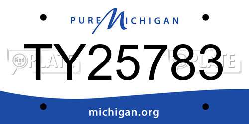 TY25783 Michigan License Plate