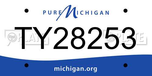 TY28253 Michigan License Plate