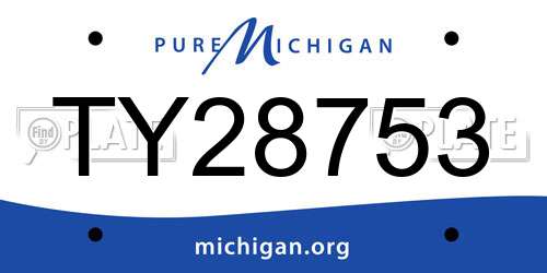 TY28753 Michigan License Plate