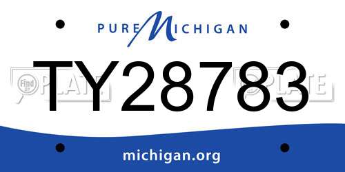 TY28783 Michigan License Plate