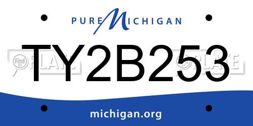 TY2B253 Michigan License Plate