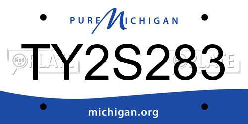 TY2S283 Michigan License Plate