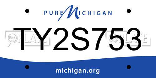 TY2S753 Michigan License Plate