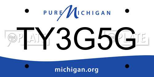TY3G5G Michigan License Plate