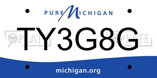 TY3G8G Michigan License Plate