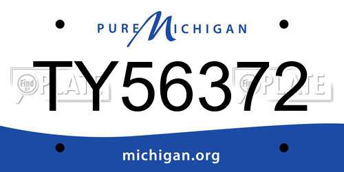 TY56372 Michigan License Plate