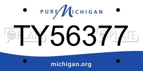 TY56377 Michigan License Plate