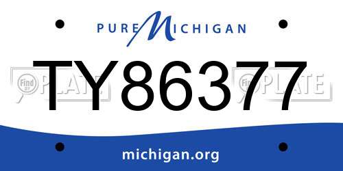 TY86377 Michigan License Plate