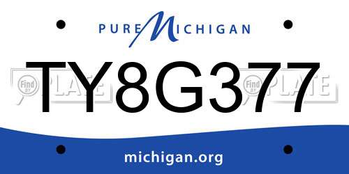 TY8G377 Michigan License Plate