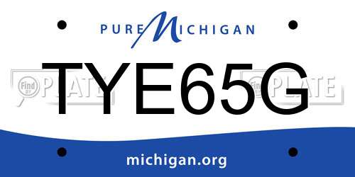 TYE65G Michigan License Plate