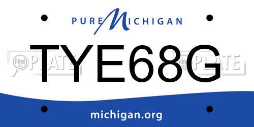 TYE68G Michigan License Plate