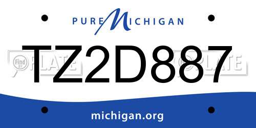 TZ2D887 Michigan License Plate
