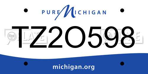 TZ2O598 Michigan License Plate