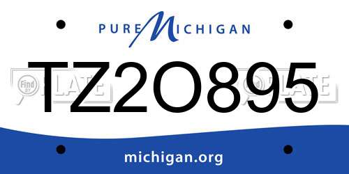 TZ2O895 Michigan License Plate