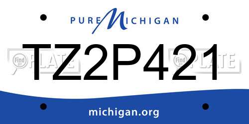 TZ2P421 Michigan License Plate