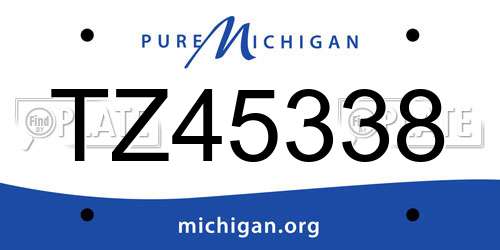 TZ45338 Michigan License Plate