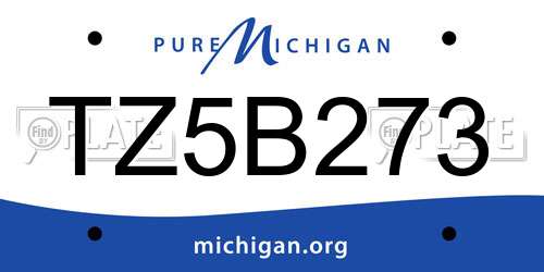 TZ5B273 Michigan License Plate