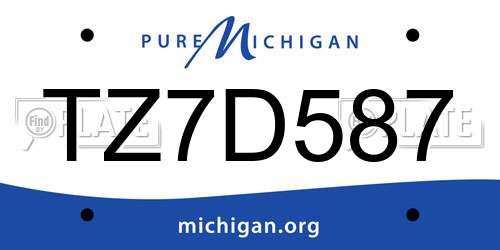 TZ7D587 Michigan License Plate