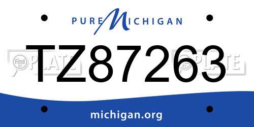 TZ87263 Michigan License Plate