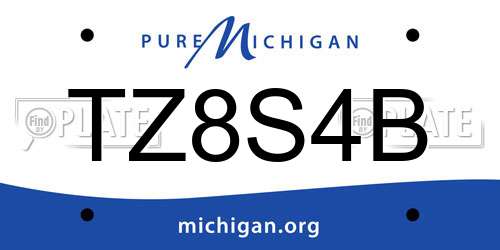 TZ8S4B Michigan License Plate