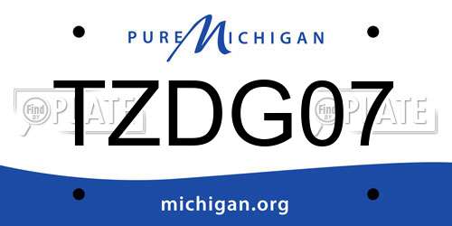 TZDG07 Michigan License Plate