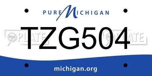 TZG504 Michigan License Plate