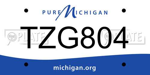TZG804 Michigan License Plate