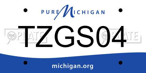 TZGS04 Michigan License Plate