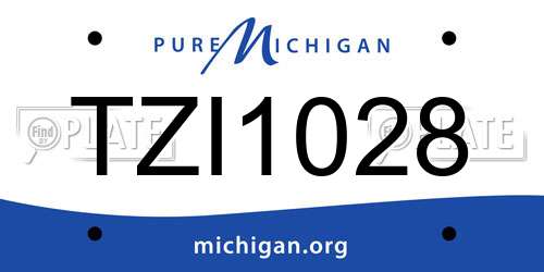 TZI1028 Michigan License Plate