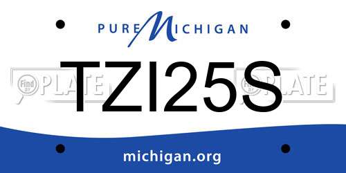 TZI25S Michigan License Plate