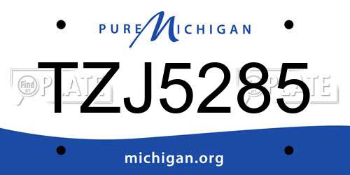 TZJ5285 Michigan License Plate