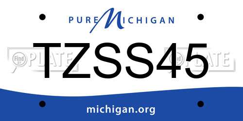 TZSS45 Michigan License Plate