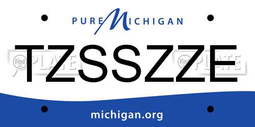 TZSSZZE Michigan License Plate