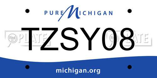 TZSY08 Michigan License Plate