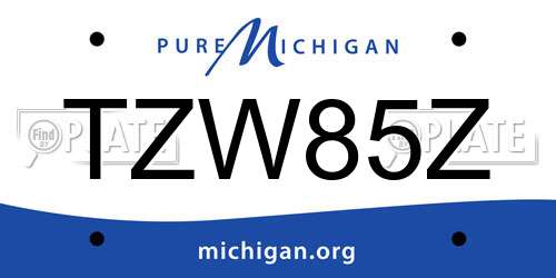 TZW85Z Michigan License Plate