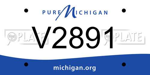 V2891 Michigan License Plate