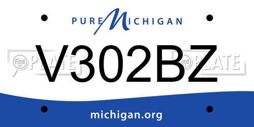 V302BZ Michigan License Plate