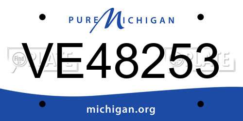 VE48253 Michigan License Plate