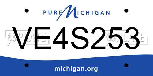VE4S253 Michigan License Plate