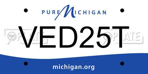 VED25T Michigan License Plate