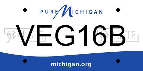 VEG16B Michigan License Plate